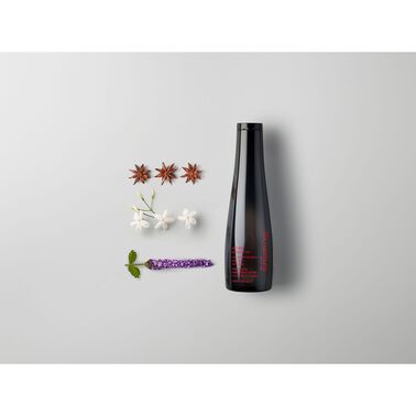ashita supreme intense revitalization shampoo - Ashita Supreme | L'Oréal Partner Shop