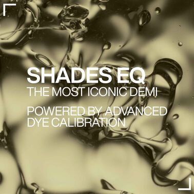 SKYLIGHT BLONDES - SHADES EQ BONDER INSIDE - storefront-IE | L'Oréal Partner Shop