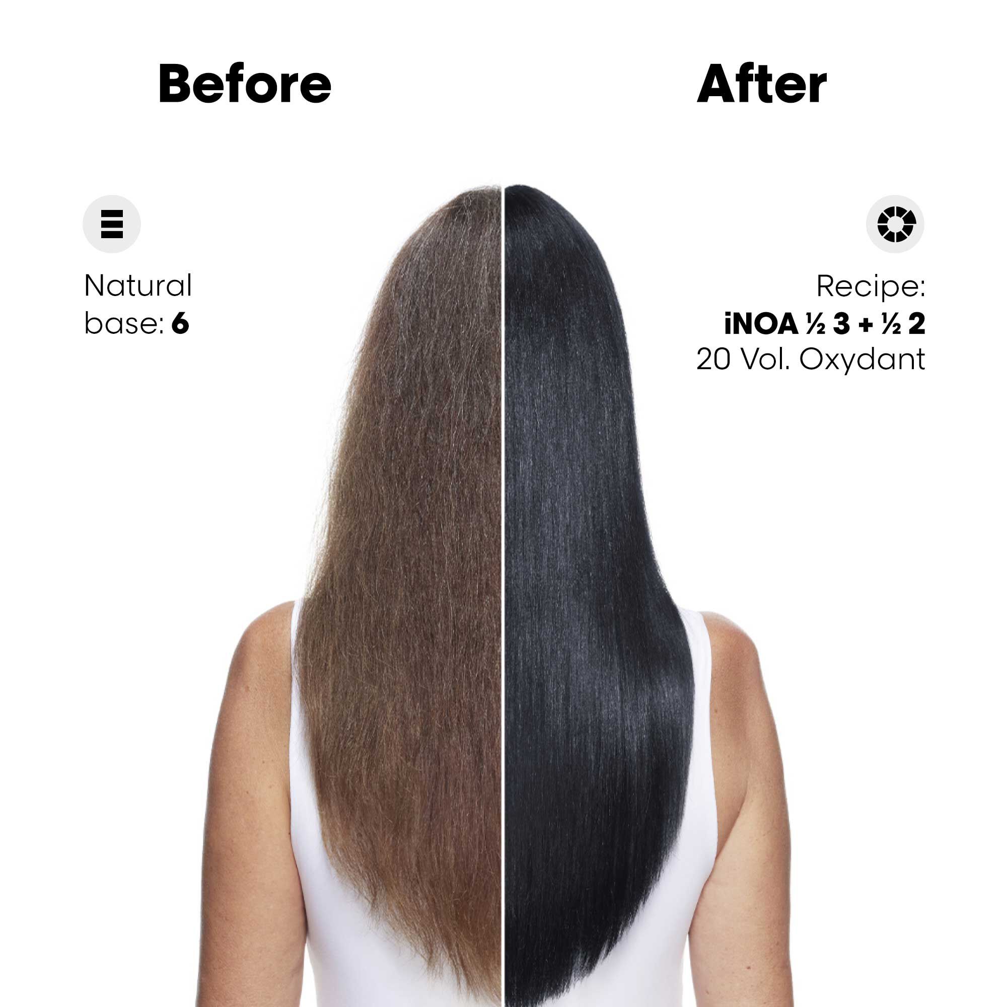 Loreal inoa sale