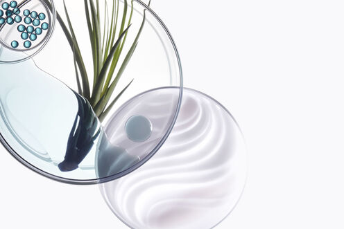 Resistance Bain Force Architecte Shampoo - storefront-IE | L'Oréal Partner Shop